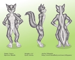 Skunk Refsheet