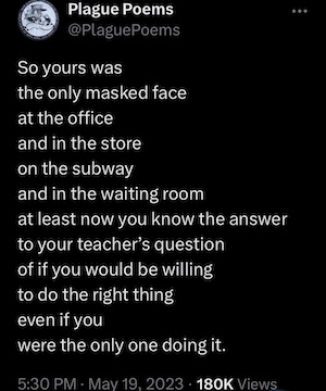 screencap of a tweet by @PlaguePoems, which says "So yours was the only masked face at the office and in the store on the subway and in the waiting room at least now you know the answer to your teacher's question of if you would be willing to do the right thing even if you were the only one doing it."