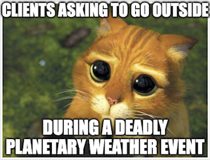 Screencap from the movie Shrek, of Puss In Boots, an orange cat, making a big-eyed pleading expression. Caption reads: "Clients asking to go outside... during a deadly planetary weather event"
