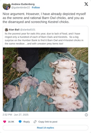 Nice argument. However, I have already depicted myself as the serene and rational Barn Owl chicks, and you as the disarrayed and screeching Kestrel chicks. https://t.co/6xHwP2ZR6j

— Andrew Guttenberg (@guttenbirder22) June 27, 2025