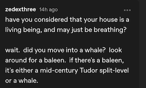 Reply from zedexthree:


have you considered that your house is a living being, and may just be breathing?


wait.  did you move into a whale?  look around for a baleen.  if there's a baleen, it's either a mid-century Tudor split-level or a whale.

