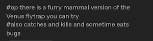 #op there is a furry mammal version of the Venus flytrap you can try #also catches and kills and sometimes eats bugs