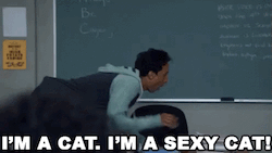 Abed, on all fours on top of a table with a blackboard behind him, saying "I'm a cat! I'm a sexy cat!"
