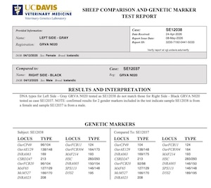 the genetic test's results say that many genes have different alleles on the two sides, revealing that moat likely this is indeed a case of chimerism.