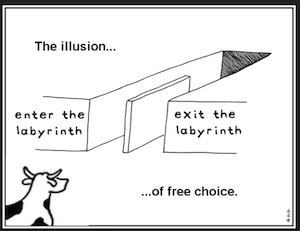 the comic of a cow facing two paths that lead the same place, with the caption "the illusion of free choice." the paths are labeled "enter the labyrinth" and "exit the labyrinth," and the cow has been cropped so it is only a bovine head and shoulders.