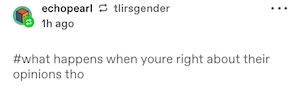 tags: what happens if you're right about their opinions tho
