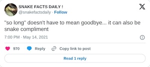 "so long" doesn't have to mean goodbye... it can also be snake compliment

— SNAKE FACTS DAILY ! (@snakefactsdaily) May 14, 2021
