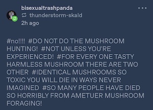tags by bisexualtrashpanda: #no!!!! #DO NOT DO THE MUSHROOM HUNTING! #NOT UNLESS YOU'RE EXPERIENCED! #FOR EVERY ONE TASTY HARMLESS MUSHROOM THERE ARE TWO OTHER #IDENTICAL MUSHROOMS SO TOXIC YOU WILL DIE IN WAYS NEVER IMAGINED #SO MANY PEOPLE HAVE DIED SO HORRIBLY FROM AMETUER MUSHROOM FORAGING!