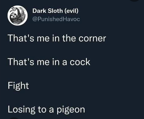 screenshot of the post from Dark Sloth (Evil) @punishedhavoc saying "that's me in the corner, that's me in a cock fight losing to a pigeon"